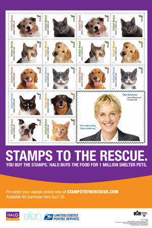 adopt